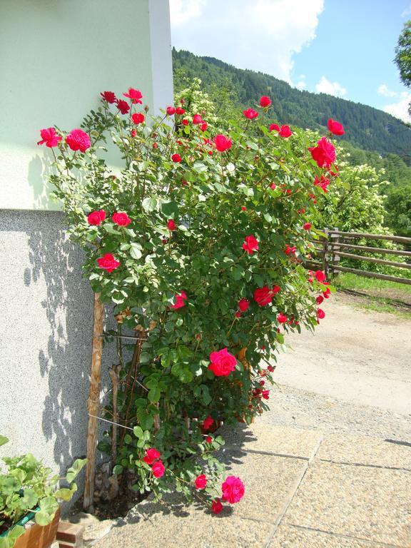 Apartmán Gruberbauer Remsach Bad Gastein Exteriér fotografie