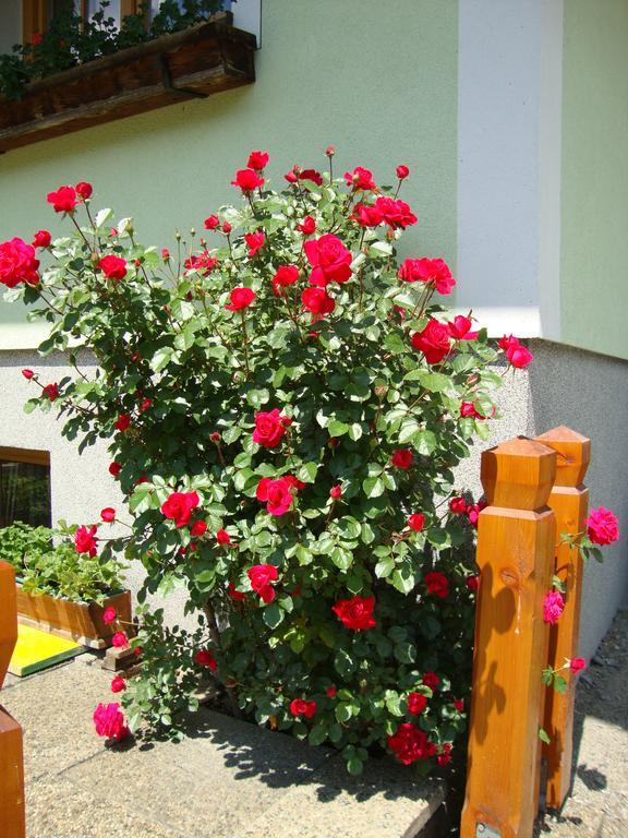 Apartmán Gruberbauer Remsach Bad Gastein Exteriér fotografie